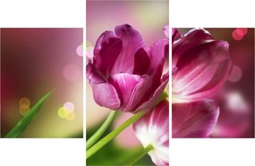 Rózsaszín tulipánok képe (90x60 cm)