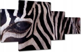 Festmények 130x80 Makro fotó zebra