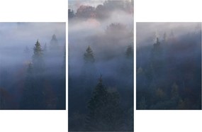 Kép - erdő a ködben, Carpathians, Ukraina (90x60 cm)
