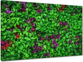 Vászonkép 90x60 Kerti azálea