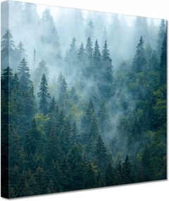 Vászonkép 20x20 Erdő a ködben Utazás
