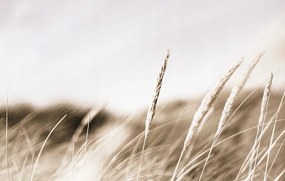 Fotótapéta 380x254 flizelin Boho #F074 #sf