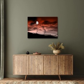 Kép - Hold megvilágítja az éjszakát (70x50 cm)