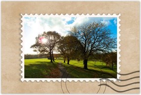 Poszterek 120x80 Őszi tájkép