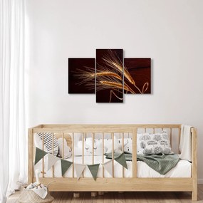 Kép - Rozsfül részlete (90x60 cm)