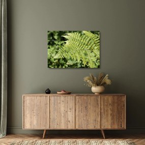 Üveg kép - Páfránylevél (70x50 cm)