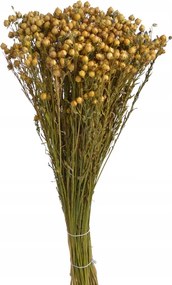 Len Természetes Szárított Nagy Csokor Dekoráció Boho Szárított Dekoráció