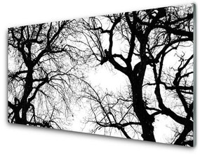Modern üvegkép Fák Természet fekete-fehér 100x50 cm