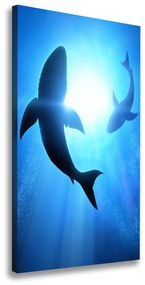 Vászonkép Sziluettek cápák ocv-69178156