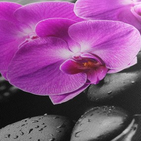 Kép - Lila orchideák (órával) (90x30 cm)