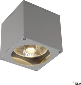 SLV 229564 THEO Modern Kültéri Fali Lámpa Átlátszó, Szürke GU10/ES111 IP44