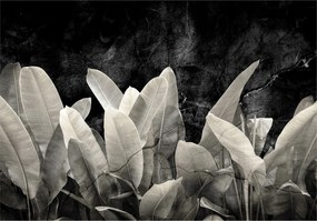 Fotótapéta Banánlevél Betonon Természet A Nappali Hálószobájába 416x254