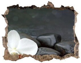 Fali matrica lyuk a falban Orchidea nd-k-113617594