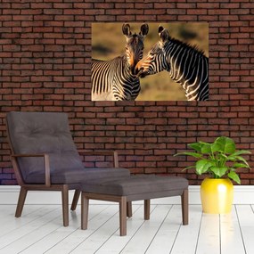 Kép - Két zebra (90x60 cm)