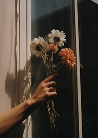 Poszter 67,5x95cm Sugár és szirmok