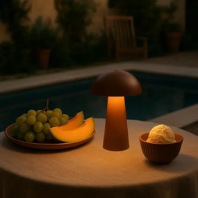 Rabalux 76039 - LED érintővel dimmelhető kültéri lámpa MIREO 1,5W/5V IP44 1200 mAh USB barna