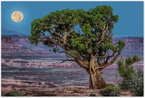 Poszterek 120x80 Kilátás Tájkép