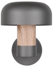 Fali kültéri lámpa (magasság 24,5 cm) Fraser – Trio