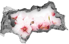 3d-s lyukat fali matrica Cseresznye virágok nd-b-79943111