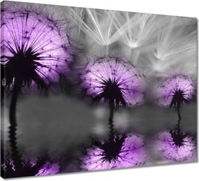 Vászonkép 50x40 Tükröződés a vízben Sárkányok