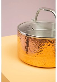 Rozsdamentes acél edény fedővel 1,55 l Minerva – Premier Housewares