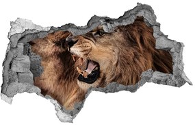 3d lyuk fal dekoráció Ordító oroszlánok nd-b-49442251