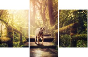 Tigris képe (90x60 cm)