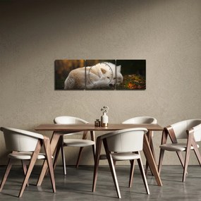 Kép - Pihenő farkas (órával) (90x30 cm)
