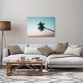 Kép - Pálmafa Balin (üvegen) (70x50 cm)
