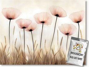 Fotótapéta Flizelina Rét Mező Kert Pipacsok Gabona Kalászok 152,5x104 ragasztó