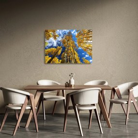 Üveg kép - Aspen (70x50 cm)