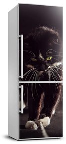 Hűtő matrica Fekete macska FridgeStick-70x190-f-119089470