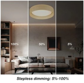 Immax NEO 07289L - LED+CCT fényerőszabályozható mennyezeti lámpatest LONA 36W/230V átm. 45,5 cm + távirányító