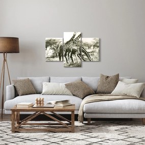 Kép - Zsiráfok, vintage (90x60 cm)
