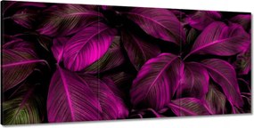 Festmények 210x100 Gyönyörű fukszia levelek