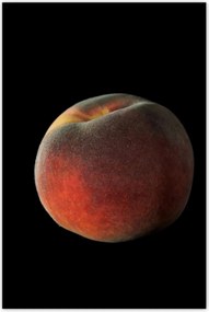 Poszterek 80x120 Érett őszibarack