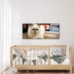 Fehér macska képe (120x50 cm)