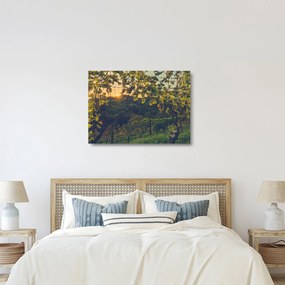 Kép - szőlőültetvény (üvegen) (70x50 cm)