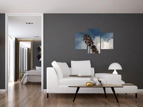 Kép - Pálma dráma (90x60 cm)