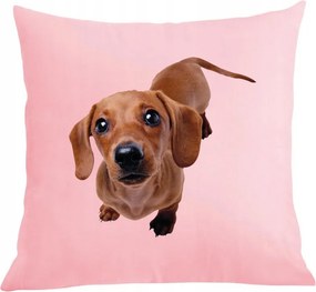 Párna párnahuzat Tacskó Kutya Divatos minta