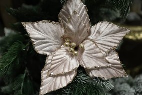 Rózsaszín-arany színű mikulásvirág 26 cm