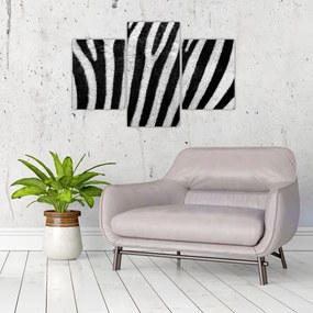 Kép egy zebra bőrről (90x60 cm)