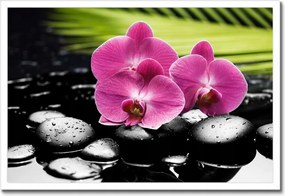 Poszterek keretben 60x40 Spa Kövek és leanderek