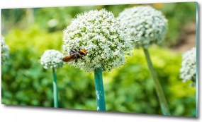 Fotó kép fotó edzett üveg erdő 125x50