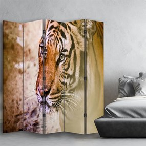 Gario Paraván Tigris portréja Méret: 180 x 170 cm, Kivitelezés: Klasszikus paraván