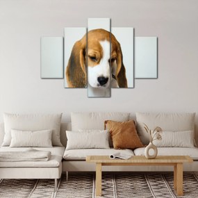 Beagle képe (150x105 cm)