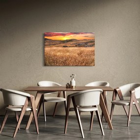 Mező képe (90x60 cm)