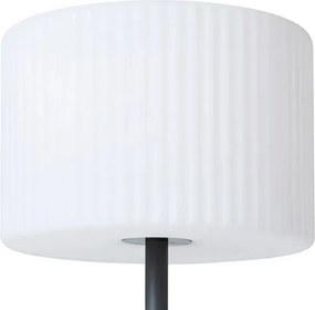 RENDL BOSANNA 150 állólámpa antracit szatén PE 230V LED E27 15W IP65