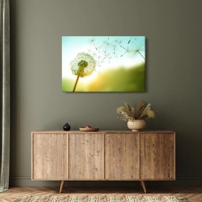Kép - Pitypang a szélben (90x60 cm)