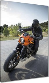 Vászonkép 70x100 Harley Davidson Motorkerékpár
